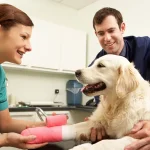 Family Veterinarian