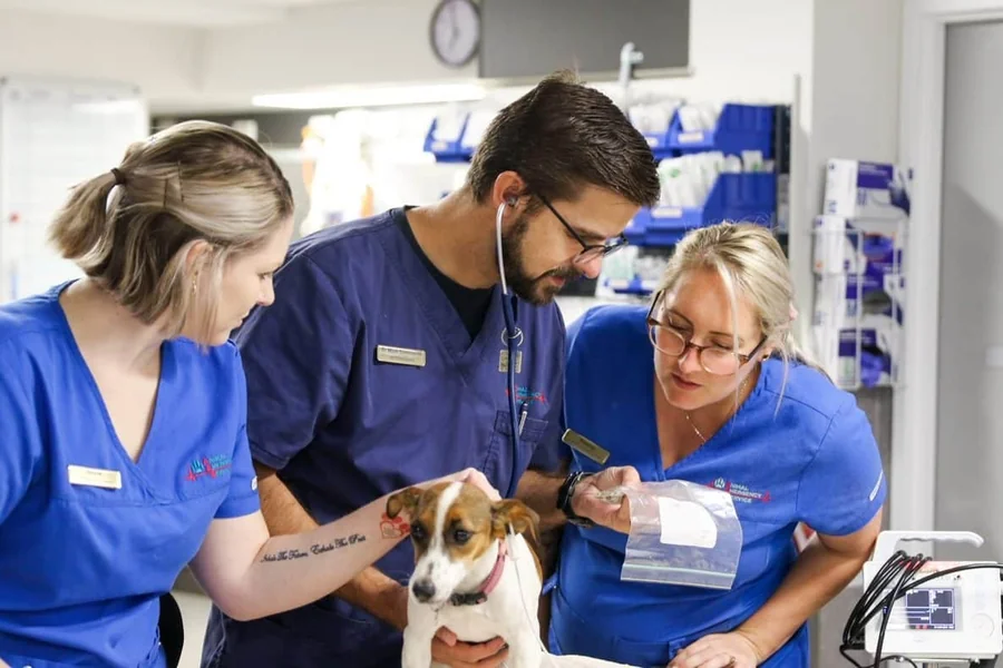 Veterinary Clinics