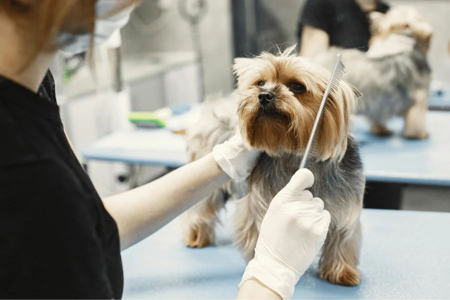 Veterinary Practice